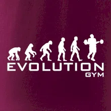 Evoluce Gym