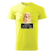 Lump a darebák zlatý retrívr