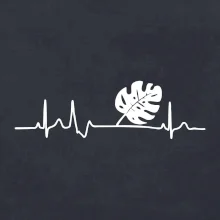 EKG Monstera EKG Monstera