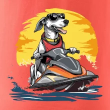 Chrt na vodním skútru