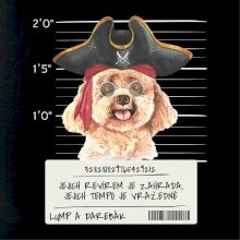 Lump a darebák pudl