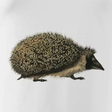 Ježek kresba