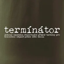 Čeština 2.0 - termínátor