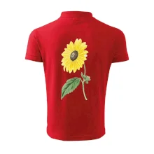 Slunečnice otočená