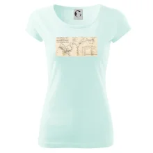 Mapa Báňské dráhy z Moravské Ostravy do Doubravy