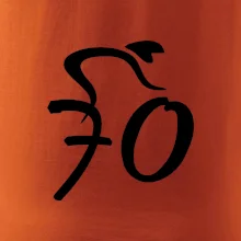 Cyklista slaví sedmdesátku (70)