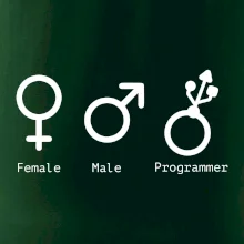 Female male programmer