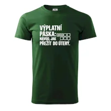 VÝPLATNÍ PÁSKA: Návod, jak přežít do úterý