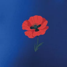 Vlčí mák kreslený velký