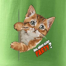 Řekl někdo slovo party