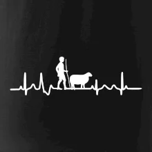 Ekg pastevec ovcí