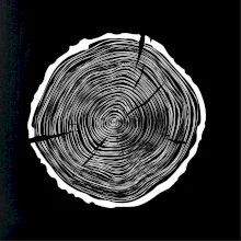 Letokruhy 55 bez věku