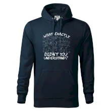 What exactly didnt you understand - physics