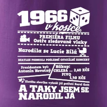 1966 v kostce