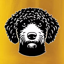 Lagotto romagnolo hlava na prsu