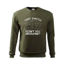 What exactly didnt you understand - physics