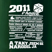 2011 v kostce