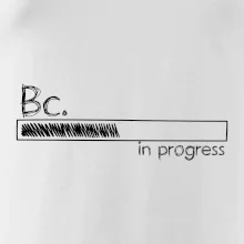 In progress  titul Bc. bakalář / bakalářka