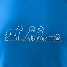 Lagotto romagnolo postavy linka