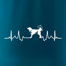 Český strakatý pes EKG