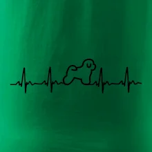 Bišonek ekg Bišonek ekg