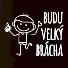 Budu velký brácha