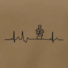 EKG Filodendron EKG Filodendron
