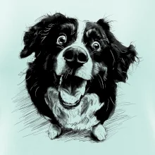 Černobílá karikatura Bernský salašnický pes