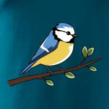 Sýkorka modřinka na větvi