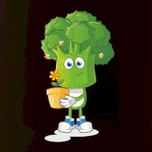 Brokolice zahrádkář