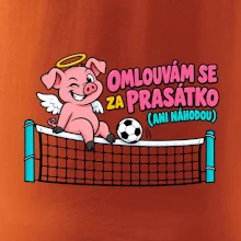 Nohejbalové prasátko na síti