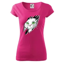 Kočka v roztrženém triku