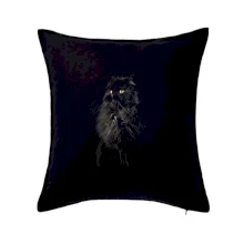 Perská kočka černá fotka