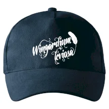 Harry - Wingardium Leviosa