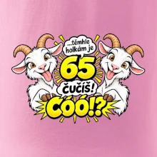 Těmhle holkám je 65, čučíš co?