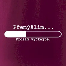 Přemýšlím