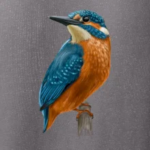 Lednáček kreslený