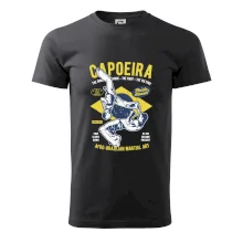 Capoeira  Afro-brazil art Capoeira  Afro-brazil art