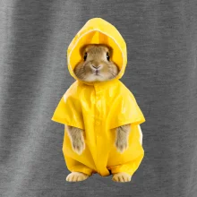 Králík v pláštěnce