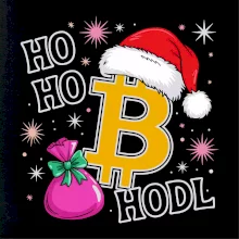 Ho ho hodl