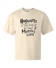 Harry - Hogwarts wasn’t hiring, so I teach Muggles instead