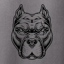 Americký stafordširský teriér hlava