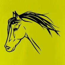 Kůň - hlava celá Kůň - hlava celá