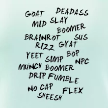 Generace Z - Gen Z slovník