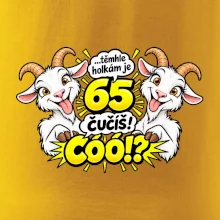 Těmhle holkám je 65, čučíš co?