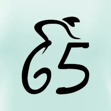 Cyklista slaví pětašedesátku (65)