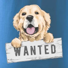 Zlatý retriever - štěně wanted