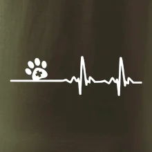 Veterinář EKG