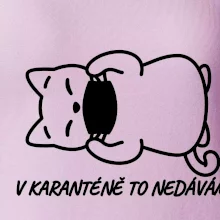V karanténě to nedávám