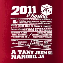 2011 v kostce